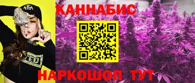 мдпв Кимры