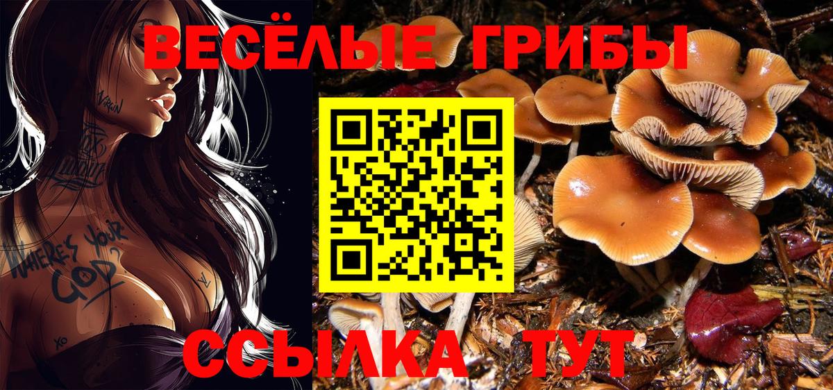 Галлюциногенные грибы мухоморы Кропоткин
